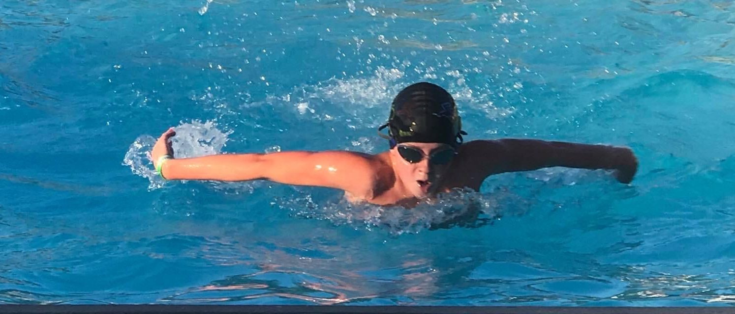 Swimming butterfly in competition